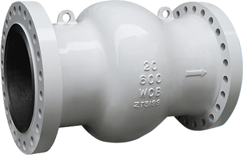 Axial Flow Check Valve