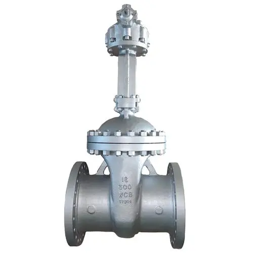 Large size gate valve