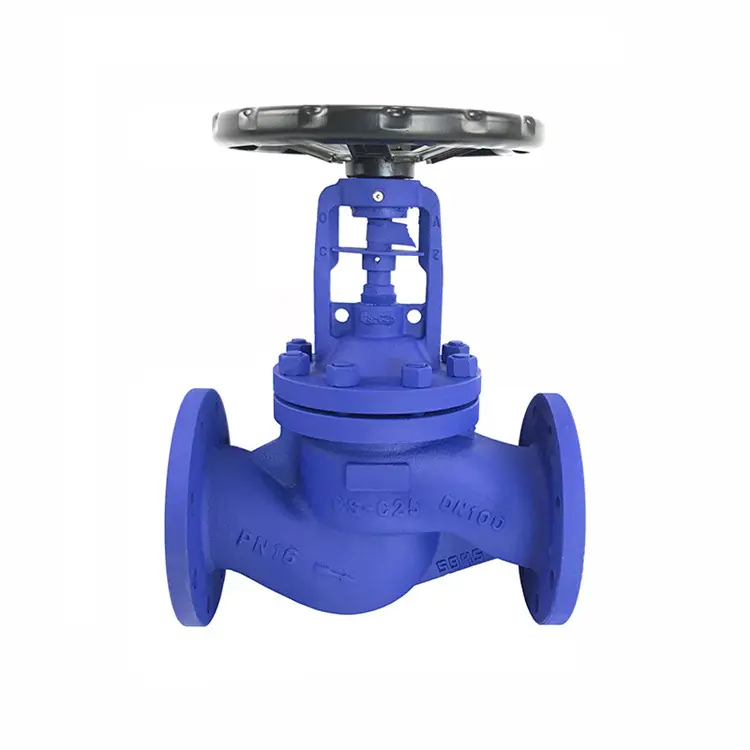 bellow seal globe valve