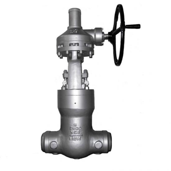 Pressure seal globe valve